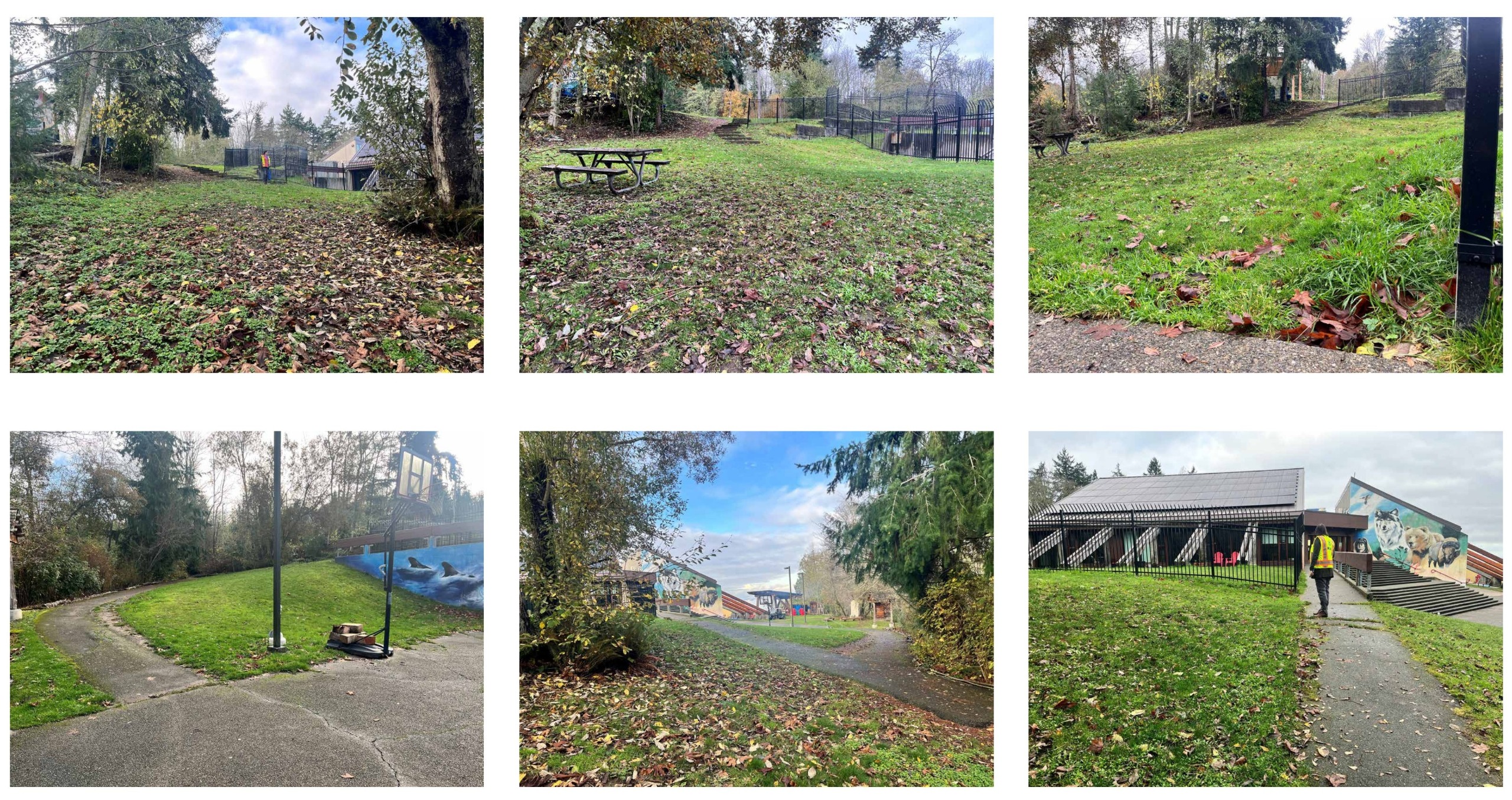 Photos of the area where the new trail will be located.